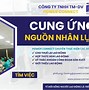 Công Ty Tnhh Cung Ứng Nhân Lực Đình Khôi