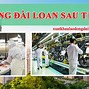 Đơn Hàng Xklđ Đài Loan 2022 Cần Những Gì Tốt Không