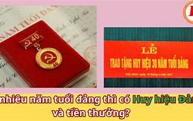 Mức Tiền Thưởng Huy Hiệu 40 Năm Tuổi Đảng Là Bao Nhiêu Tiền