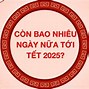 Tết Âm Lịch Năm 2025 Có Bao Nhiêu Ngày