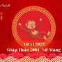 Tử Vi Tuổi Thân 2004 Năm 2023